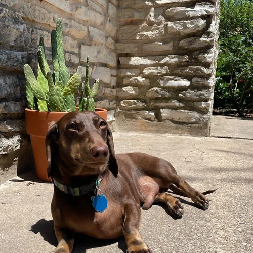 Shelby Art Storefronts and ArtHelper Staff Member