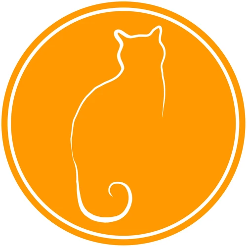 Orange Cat Art